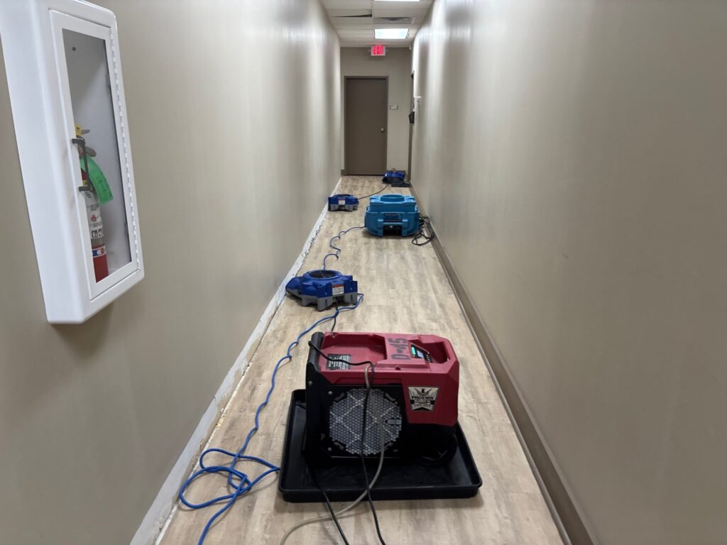 Commercial wall cavity treated with antimicrobial encapsulant after thorough remediation cleaning and removal of contaminated materials.